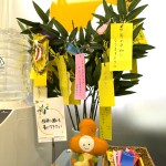 今年もたくさんのともえみ七夕短冊ありがとうございました！