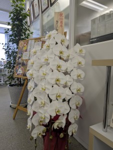 Photo_26-03-24-08-41-06.293